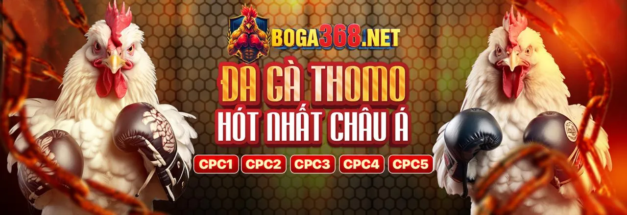 Đá gà C2 trực tiếp tại 789BET