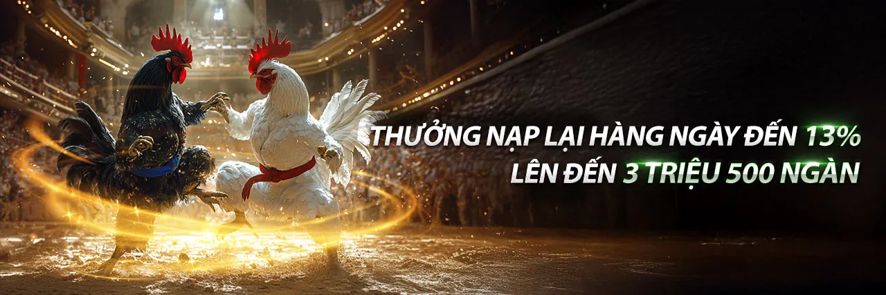 trực tiếp đá gà C2 tại trường gà Bình Dương
